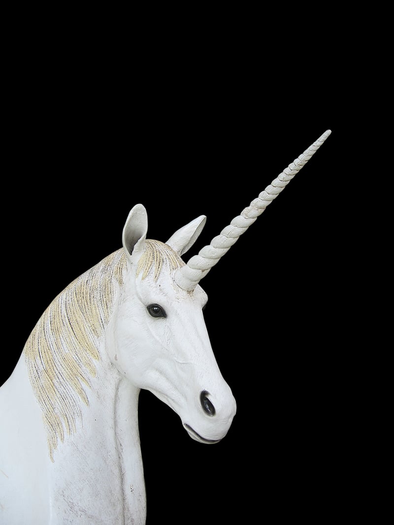 Unicorn Bedding
